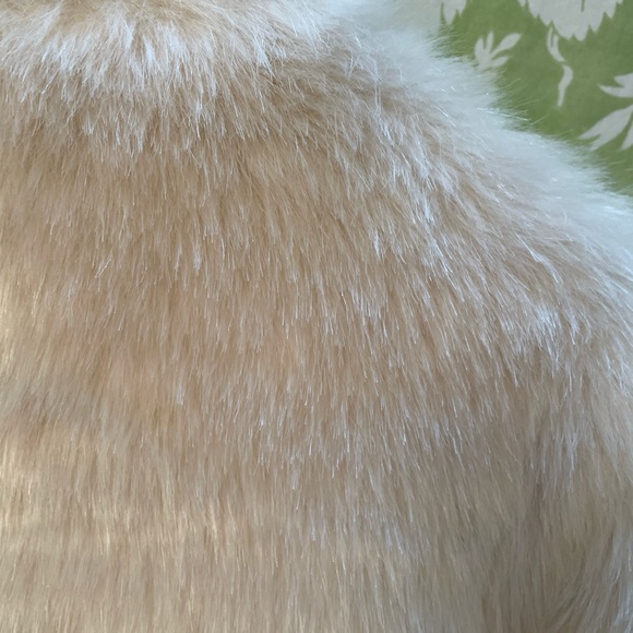 Forever 21 Faux Fur Jacket - Like New Condition - Picture 6 of 9